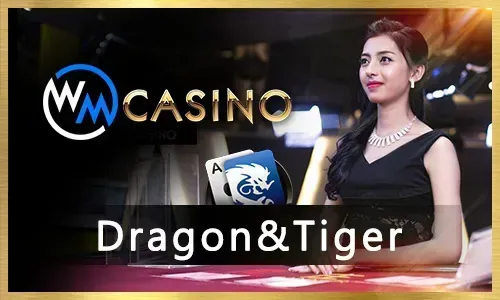 Jili49 Live Casino